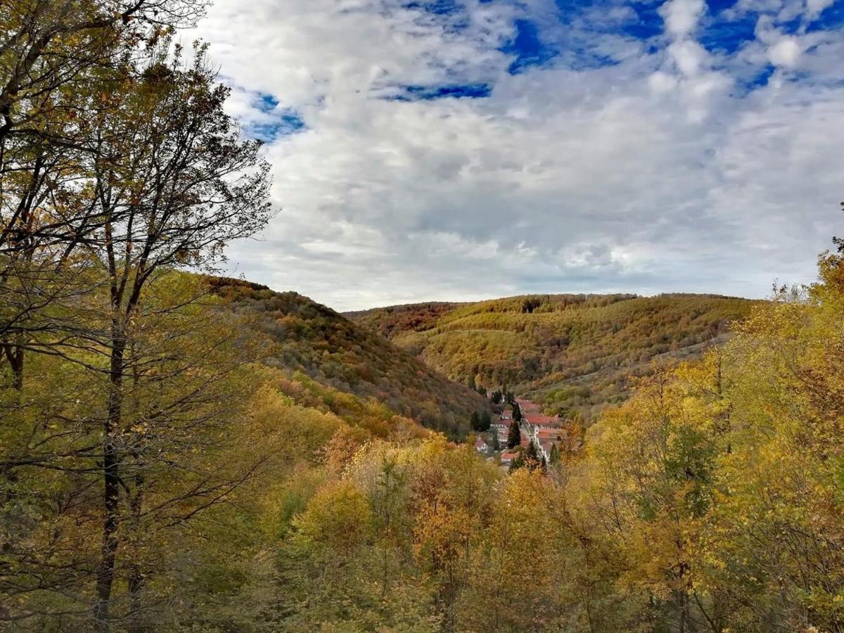 Apartmán Lovas Vendeghaz Obanya Exteriér fotografie